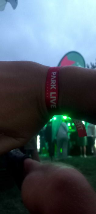 Билет на концерт park live