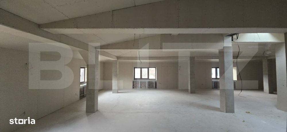 Spatiu comercial tip casa, D+P+M, 440 mp, zona centrala Craiova