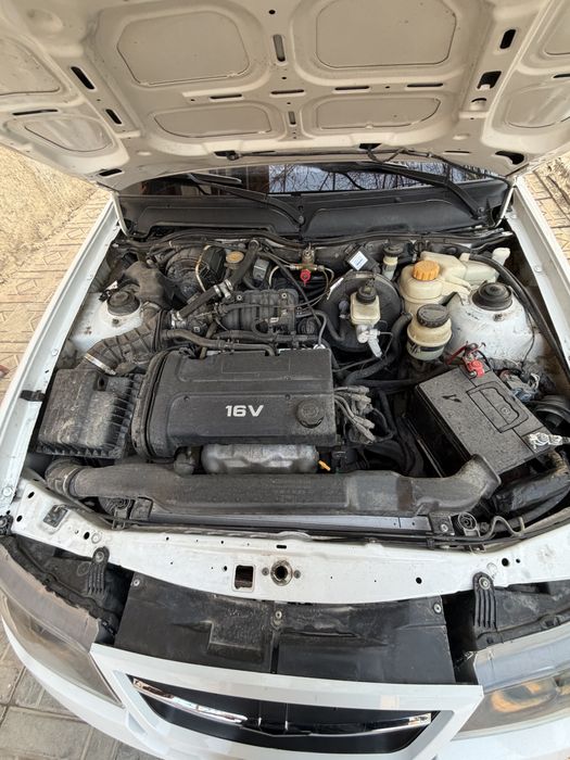 Vikup bor faqat Samarqandga