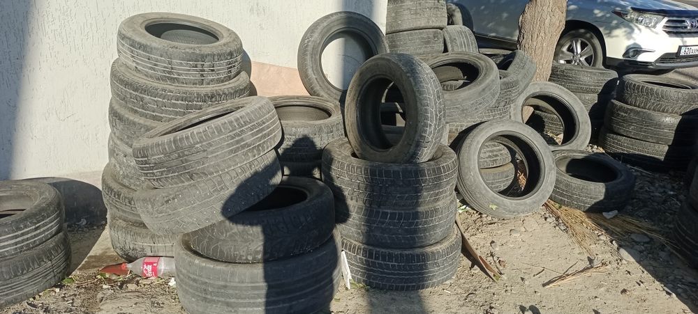 Болоны не нужные