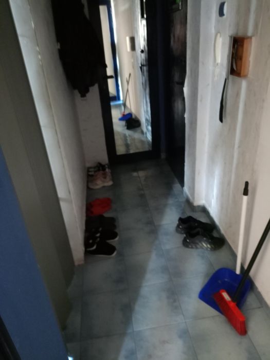 Давам стая под наем