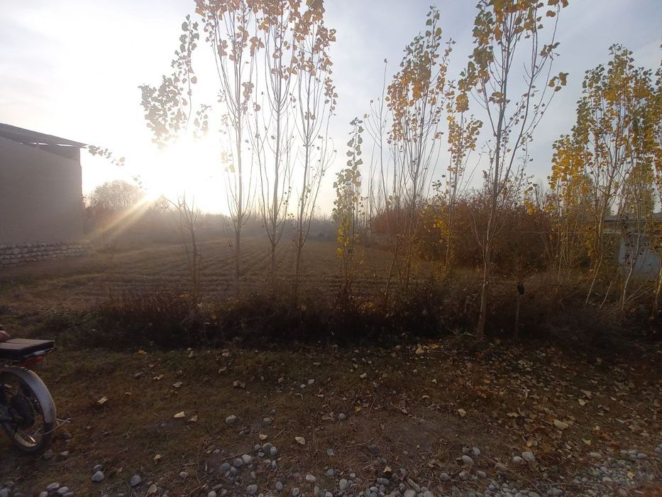 Томорка сотилади