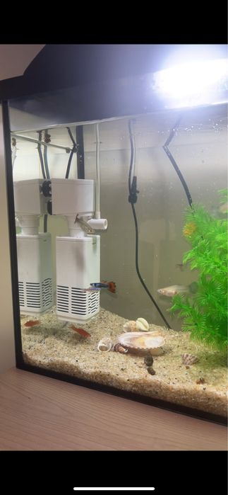 Аквариум 20 л-с рыбками