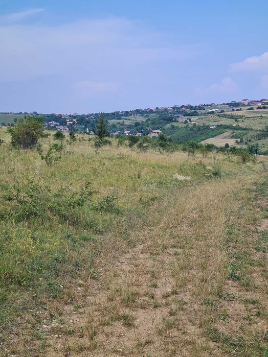 Vand teren extravilan 2500m2 in Salicea.