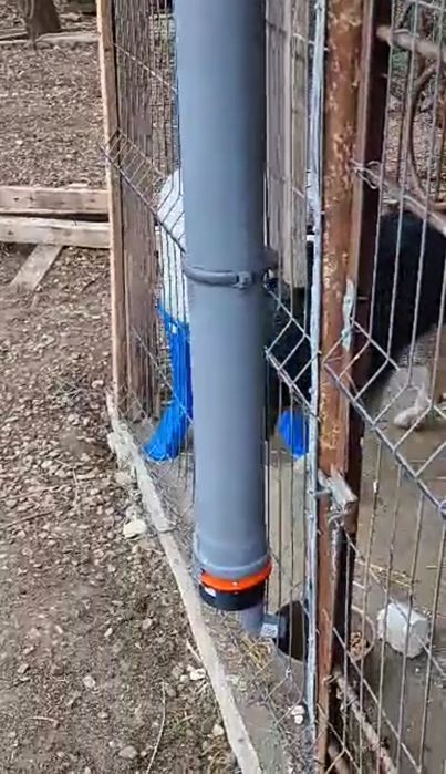 Pentru Caței,pisici, un Hranitor automat(H-1 G)cu programator