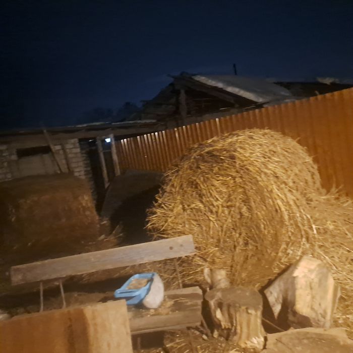 Продам сено крс,,,