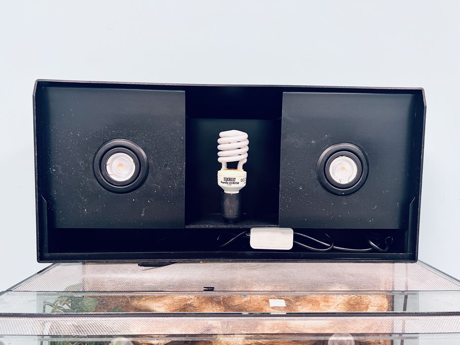 Terariu custom premium, complet echipat