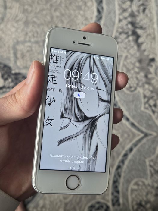 IPhone se 2016 ( 1 поколение )