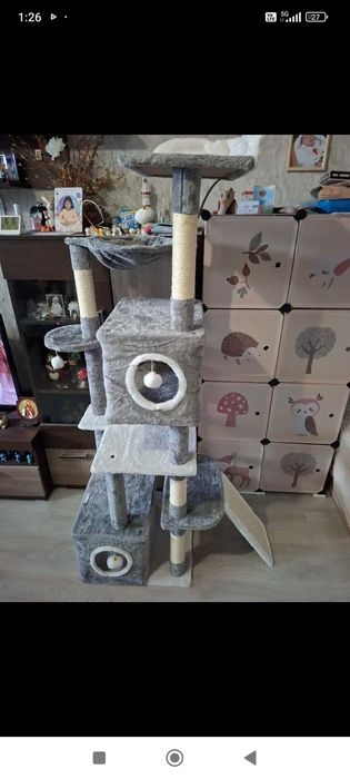 Катерушка за котки