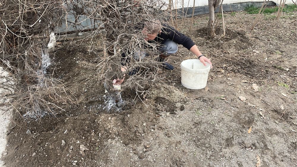 Услуги разнорабочих