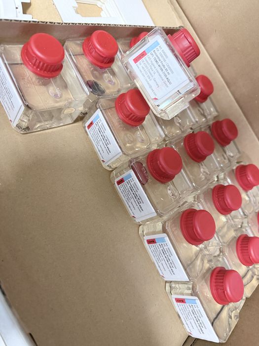 Parfumante odorizante cws miros ca la nike