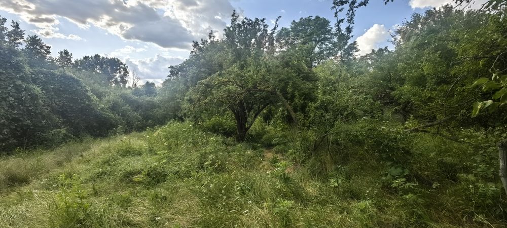 Къща с голям двор 3200 кв.м и река с. Новосел, обл. Шумен