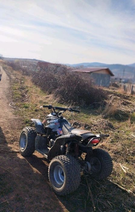 Atv 100 2t Pro Shark QUADZILLA