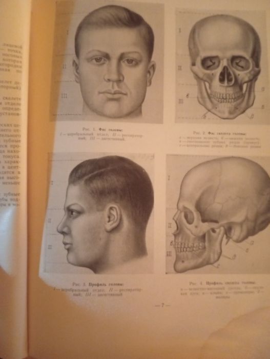Зубное  протезирование