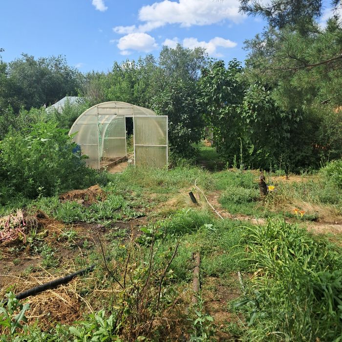 Продам дом в жилянке