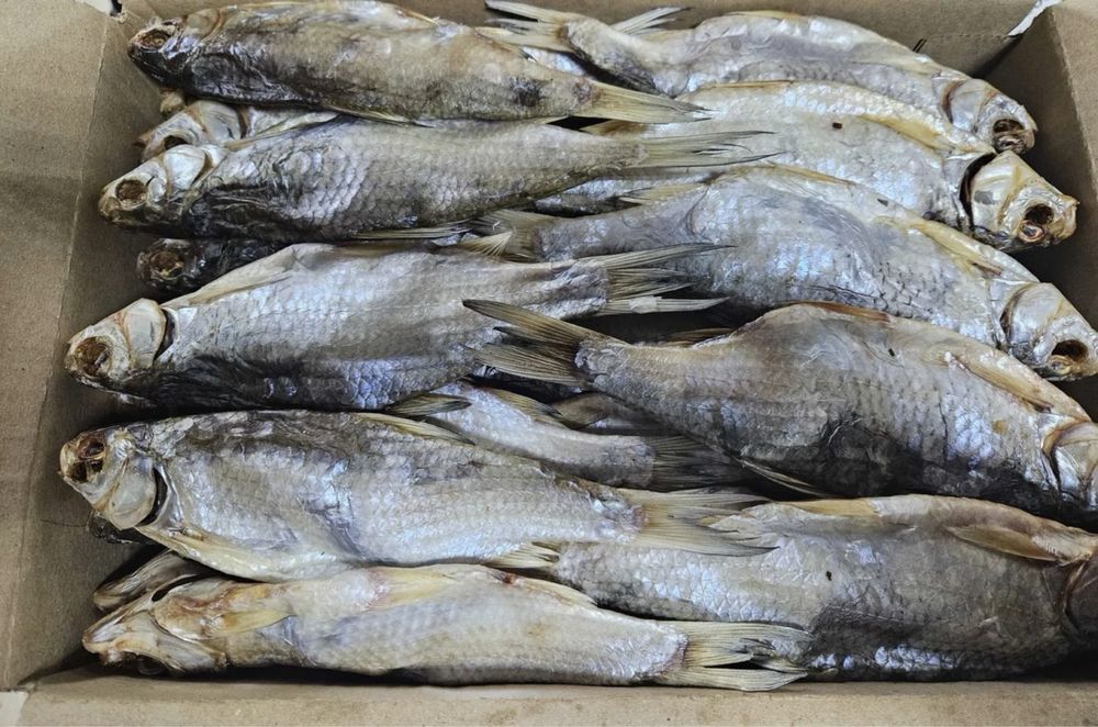 свеже-вяленая вобла,рыбец