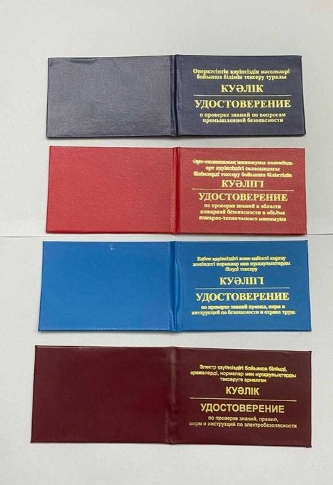 Корочки БИОТ ПТМ ПБ за 1 день