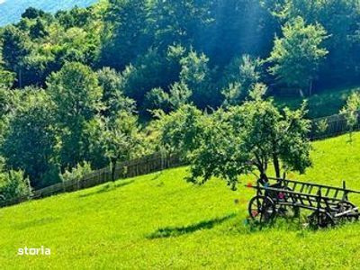 TEREN UNIC in Schei cu cabana