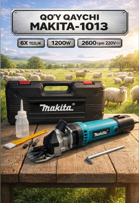 Qoy moshinka mashinka qoy