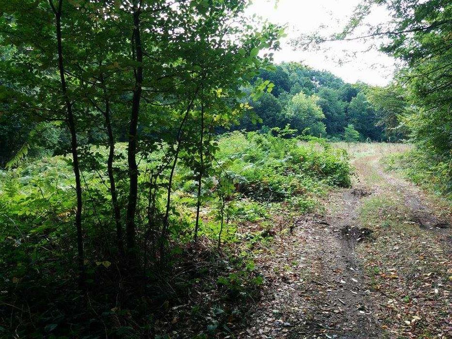 Продава се Парцел в Малко Търново - 6 кв.м за 5100 €/кв.м - Снимка #1