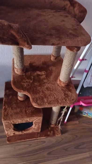 Продам котенка 4месяца