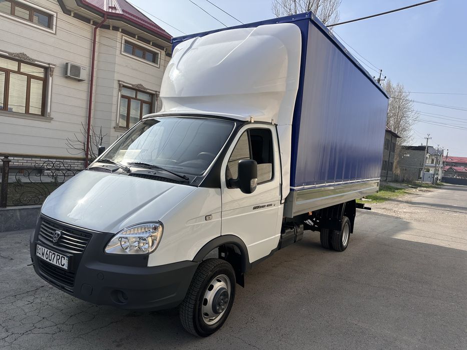 Gazel sotiladi 19.800 yurgan