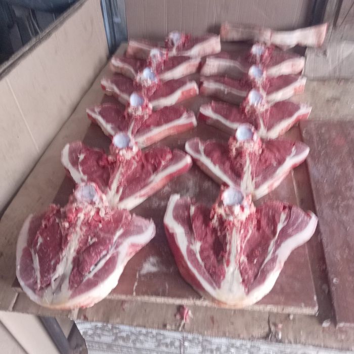 Продам мясо конина