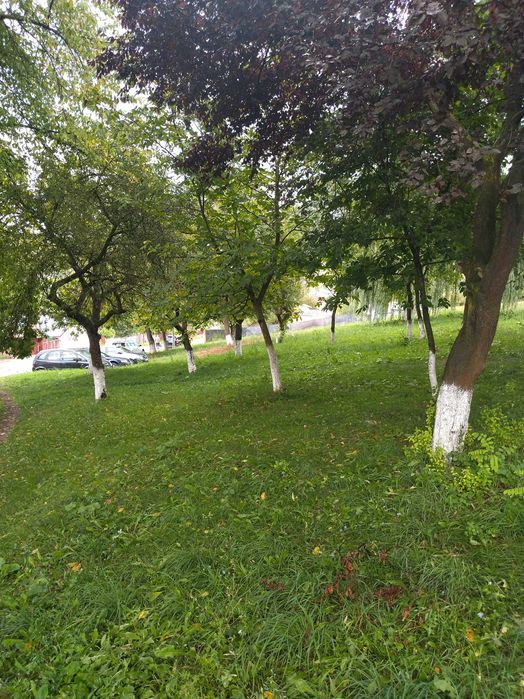 Oferta teren intravilan Hunedoara