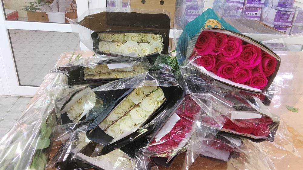 Роза   550 тг штук