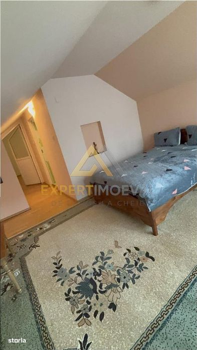 Casa ultracentrala langa Parcul Municipal Regina Maria la pret de nera