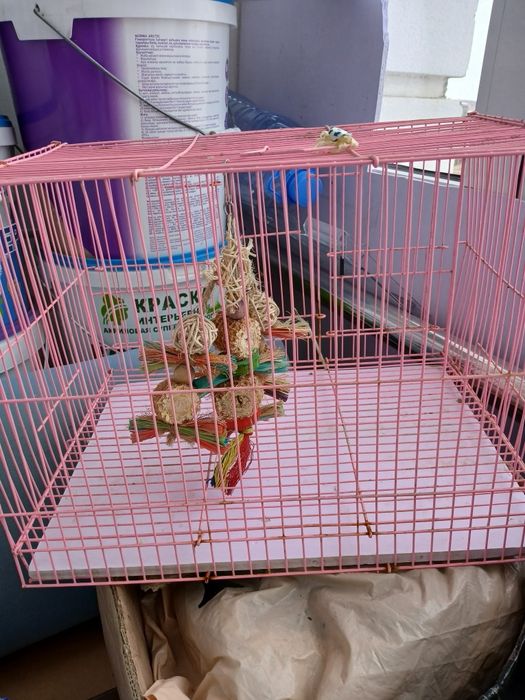 Құстың торы сатылады