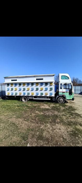 Camion apicol de vânzare