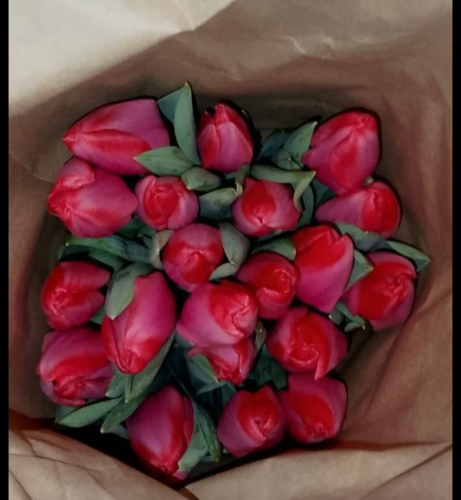 Тюльпаны на 8 марта