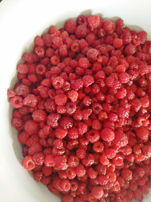 Продаю домашнюю малину