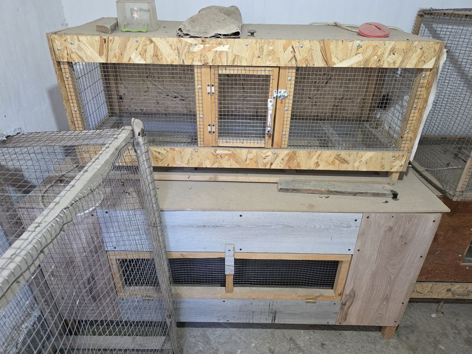 Осы клеткалар сатылады