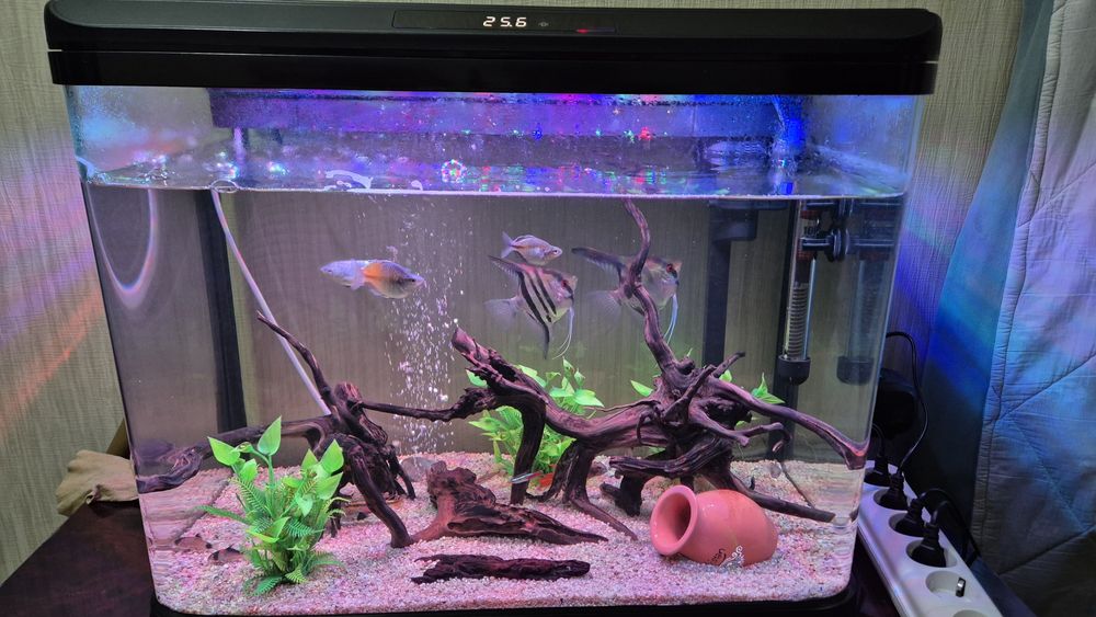 Продам свой аквариум на 72 литра