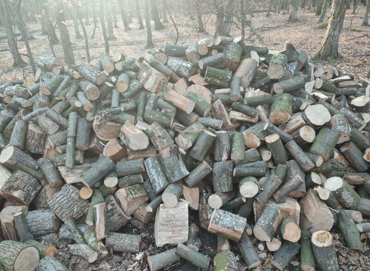 Vând lemne pentru foc