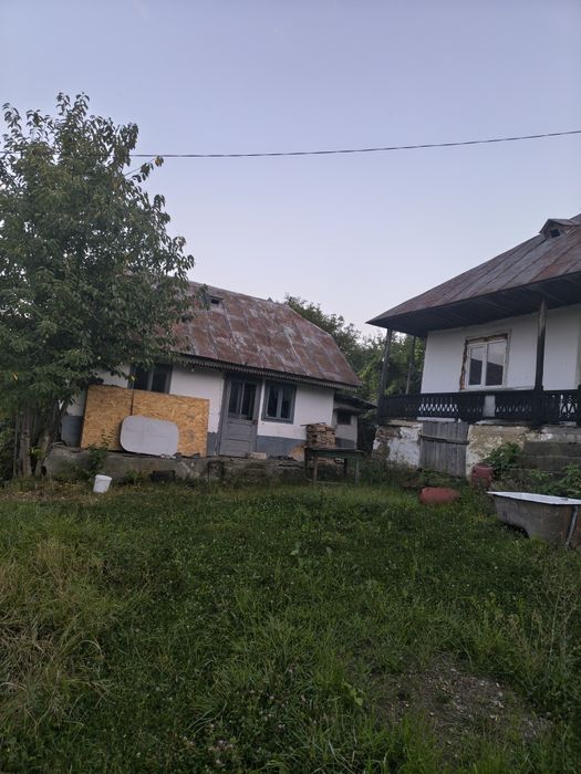 Vând casă bătrânească Leontinesti  jud Bacău locuibila și teren de 5000 m , cu livada și vie