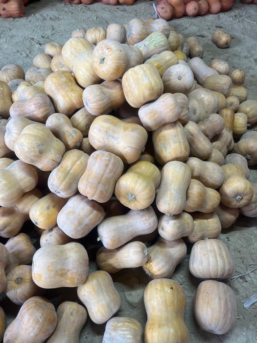 Асқабақ ұрығы(Семена тыквы)