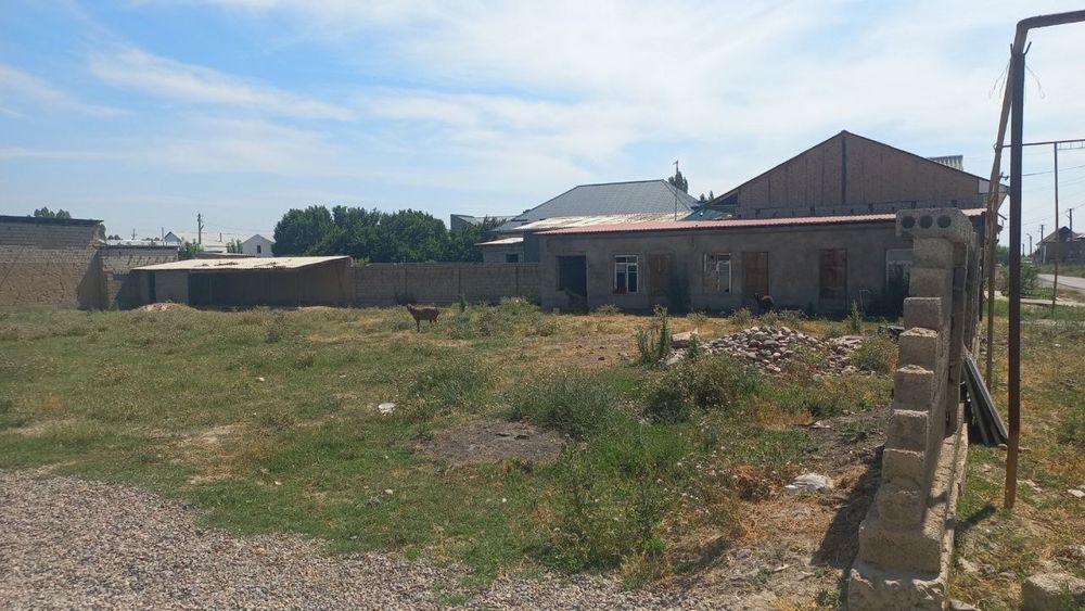 Xovli /  yer/ uchaska / янгийул /yangiyol tumani obod mahalla