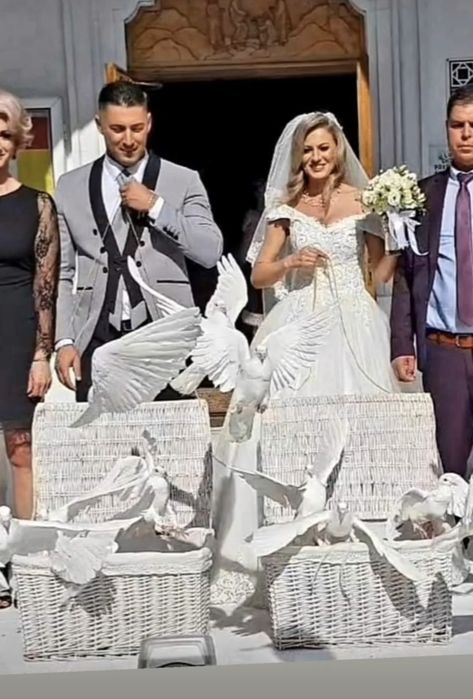 Porumbei albi Nunta Constanta