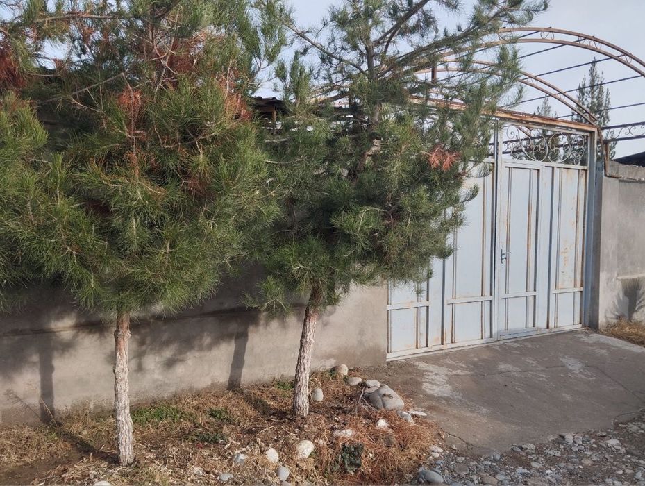 Дача сотилади Янги Ўзбекистон 5 сотих