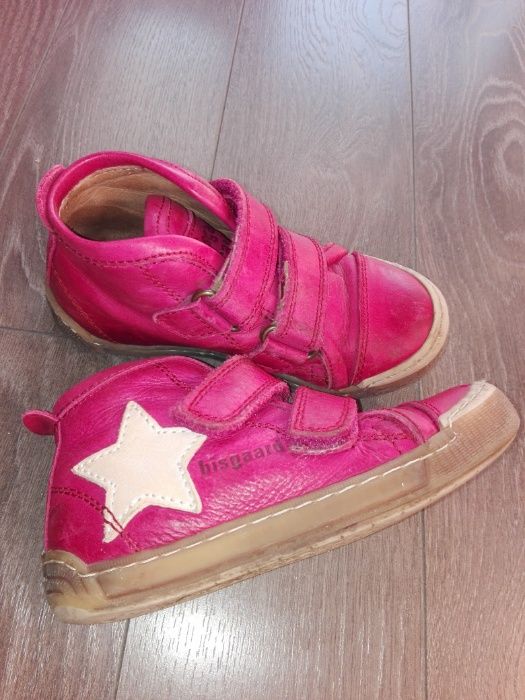 Bluezoo боти, Bisgaard