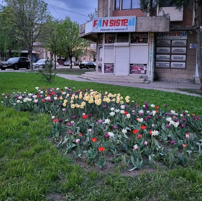 Service calculatoare, imprimante, laptopuri, tablete, update harti gp