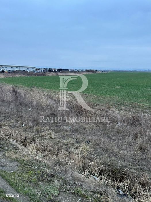 Teren de inchiriat | 20,088 ha | Sacadat | Bihor