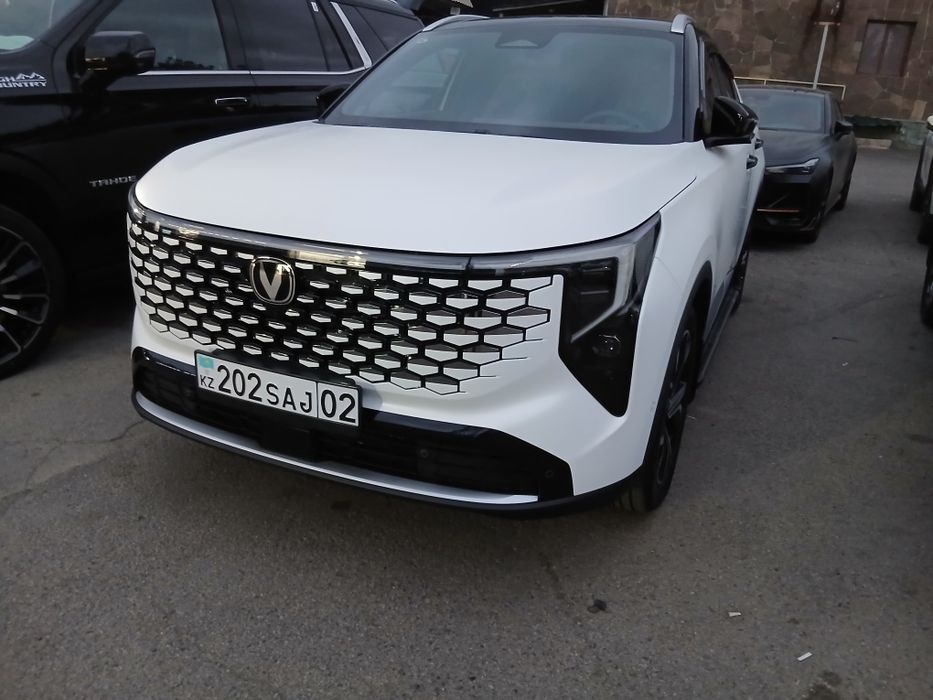 Сетка радиатора защитная