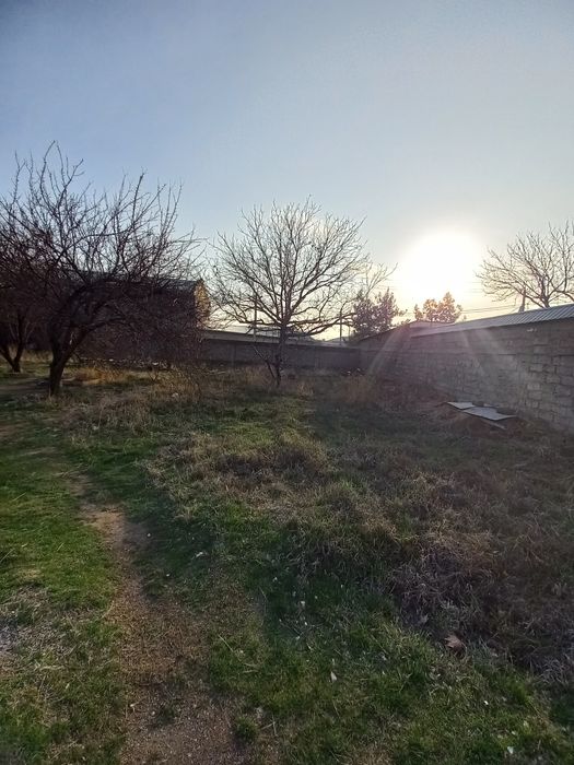 Seleksiyada Yer sotiladi 4-sotok 20 ga 20 (bu sotogining narxi)