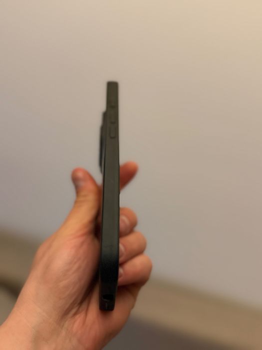Husa silicon model Flori Iphone 16 pro max