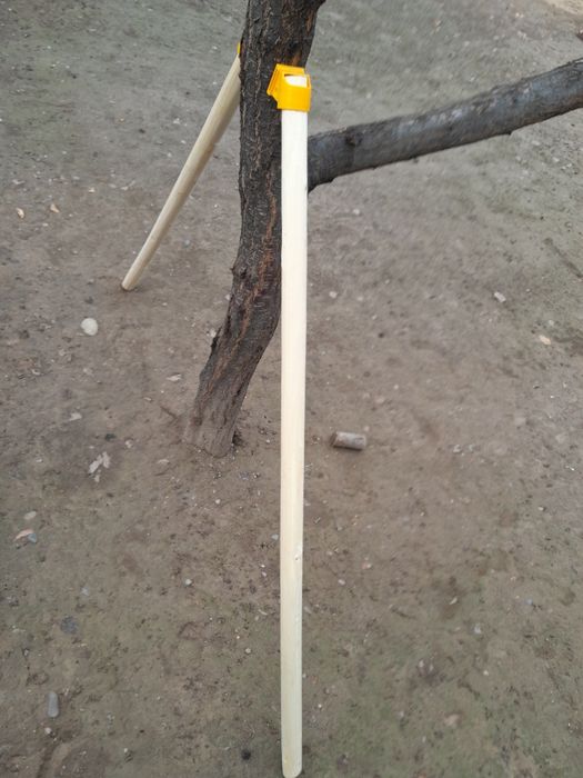 Соп даста. Дарахтлар учун тиргаклар (Опора для растение)