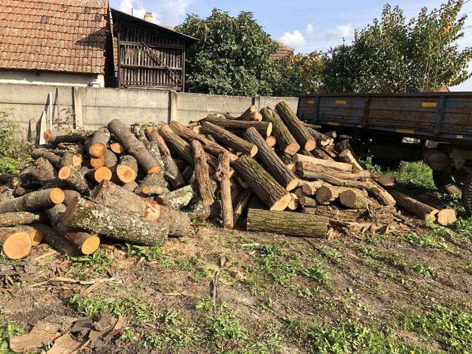 Lemn de foc esenta tare